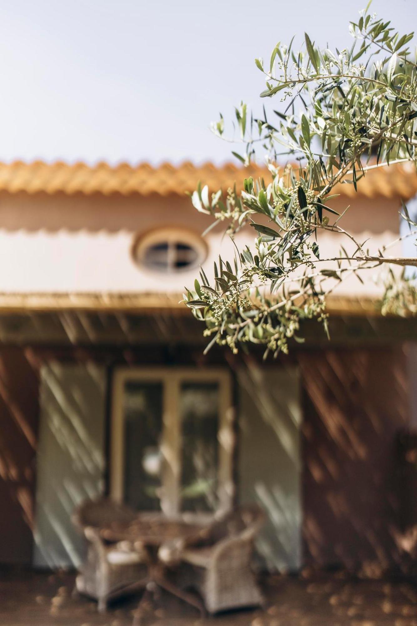 La Villa D'Andrea Ramatuelle Exterior foto