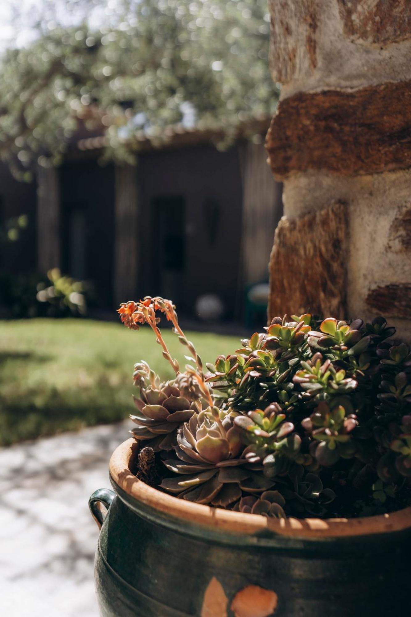 La Villa D'Andrea Ramatuelle Exterior foto